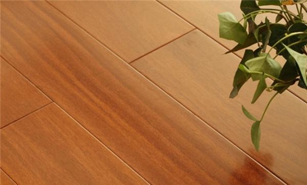 安吉春禾园艺制品有限公司